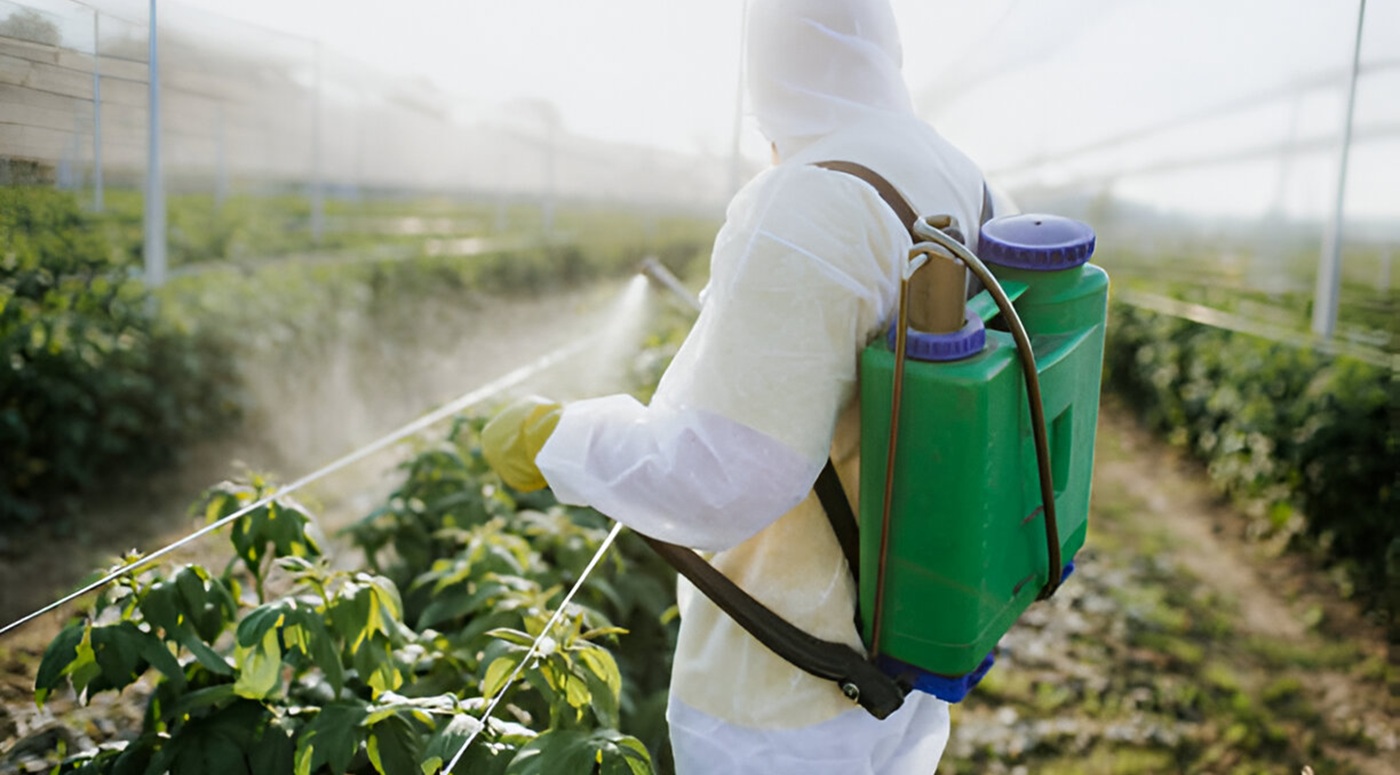 İlhan İlaçlama | Dezenfeksiyon, Su Deposu Temizlik, Fumigasyon ve İlaçlama