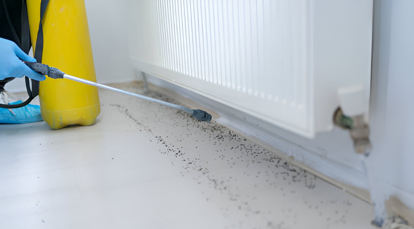 İlhan İlaçlama | Dezenfeksiyon, Su Deposu Temizlik, Fumigasyon ve İlaçlama