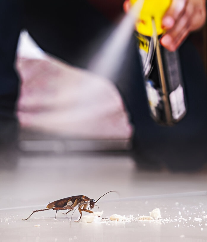 İlhan İlaçlama, Afyon,Uşak,Kütahya,Isparta,Konya,Eskişehir,Denizli,Dezenfeksiyon,Su Deposu Temizlik,Fumigasyon ve İlaçlama Hizmetleri